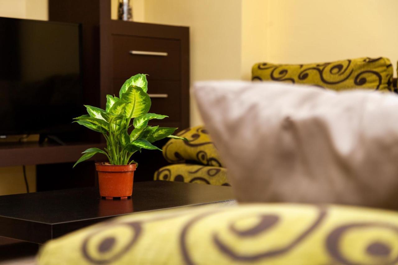 Apartamento Los Remedios Con Patio Andaluz Вьер де ла Фронтера Экстерьер фото